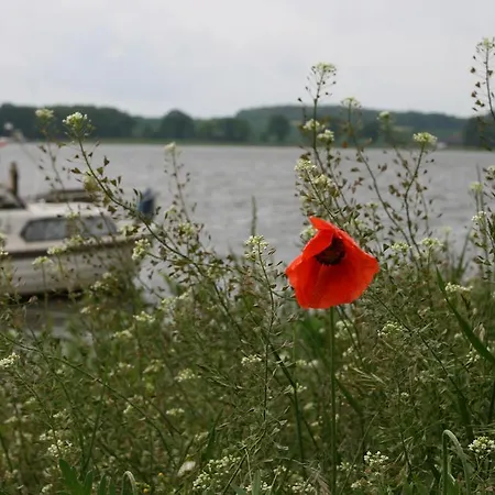 Appartement Am Selliner See *